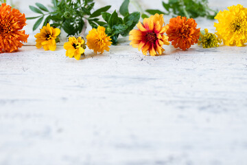 黄色とオレンジ色の花の背景　白バック