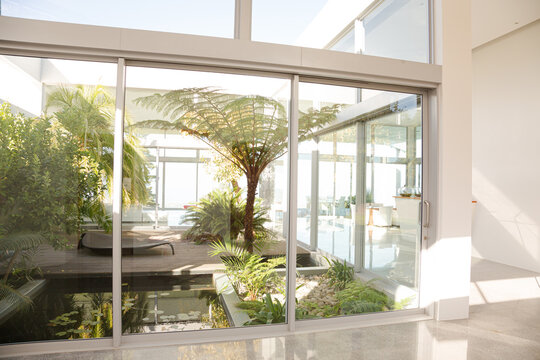Plants growing in modern courtyard