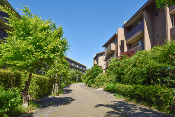 Fototapeta na wymiar 日本の住宅地　Japan's residential area.