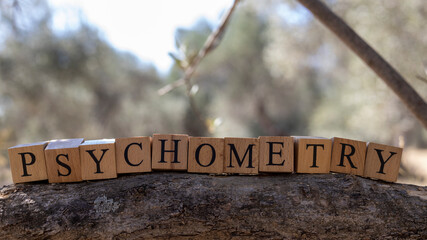 The word Psychometry was created from wooden cubes. Photographed on the tree branch.