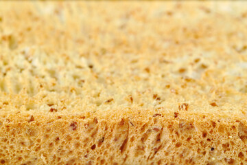 narrow focusing macro shot of the edge of a crunchy golden toasted sliced sliced whole  sandwich bread for food wallpaper background
