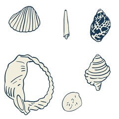 海で拾った貝殻のシンプルなイラストセット・紺
