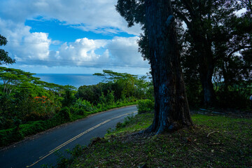 Fototapeta na wymiar Maui Hawaii