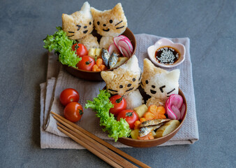 Homemade Japanese cuisine. Animated Kitten Shape Onigiri Bowls. Light meals for healthy conscious minded people.