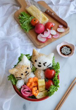 Homemade Japanese cuisine. Animated Kitten Shape Onigiri Bowl. Light meals for healthy conscious minded people.