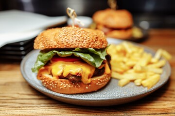 fries and sancwich combo on the plate