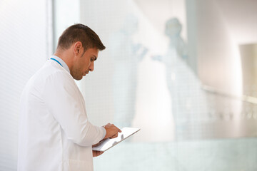 Naklejka na ściany i meble Doctor using digital tablet
