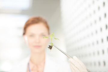 Botanist holding plant with tweezers