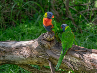 Pair Looking At Each Other