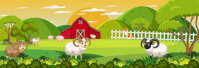 Farm horizontal landscape scene with many sheeps