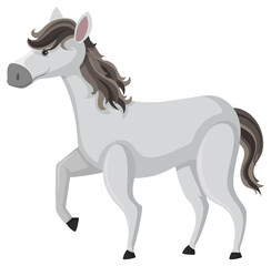 Cute horse on white background