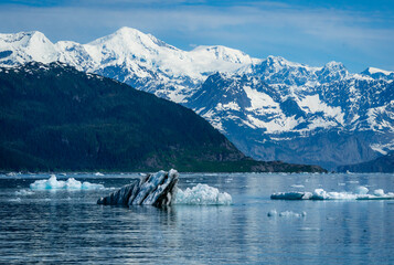 Iceberg floating after calbing