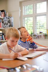 Boys using telephone in home office