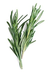 Rosemary.