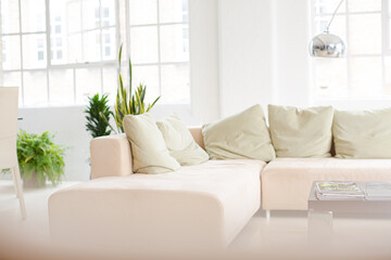 Sofa in modern living room