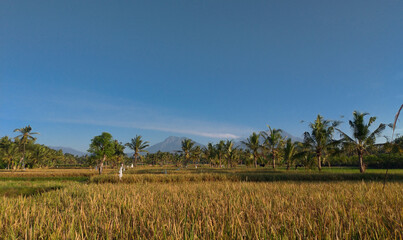 Amazing view around the village with blue sky.