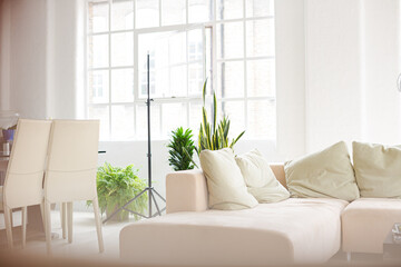 Sofa in modern living room