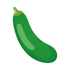 Isolated cucumber vegetable