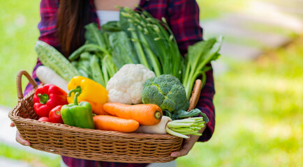 closeup hand carrying vegetables basket on white background 
