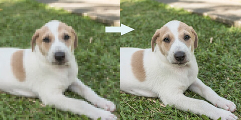 Example of AI Photo upscaling technology - A pixelated picture of a puppy on the left, and the the...