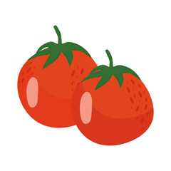 Isolated tomatoes vegetable