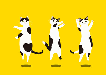 ハチワレ白黒猫トリオのダンス