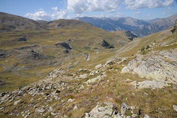 haute montagne en été - Alpes