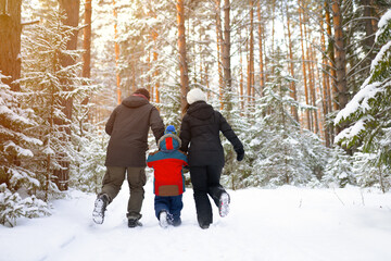 Fototapeta na wymiar family walking in forest in wintertime