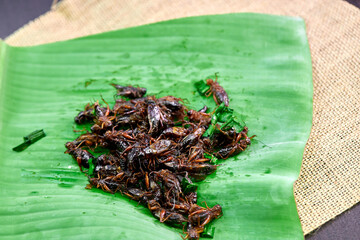 Fototapeta na wymiar heap fried crickets on green leaf banana