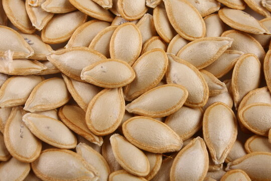Organic sun dried pumpkin seeds. macro, close up image,