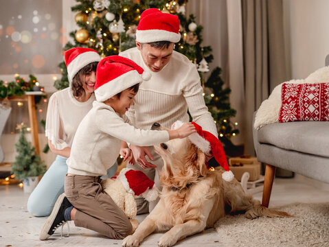 Family Near Christmas Tree While Dog Is Passing By