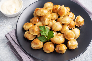 Traditional fried pelmeni, ravioli, dumplings filled with meat on black plate, russian kitchen. Gray concrete background, copy space.