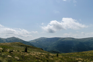 Bukowe Berdo - Bieszczady 