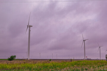 Fototapeta premium windmill 