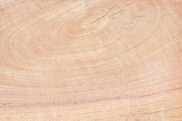 surface of brown wood plank texture for background.