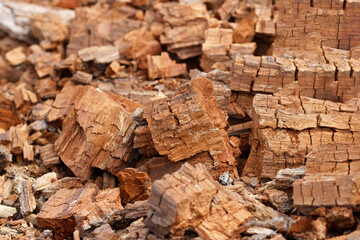 Rotted Wood background