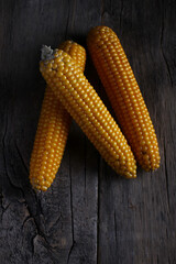 fresh corn cobs on a textured table made of old wood