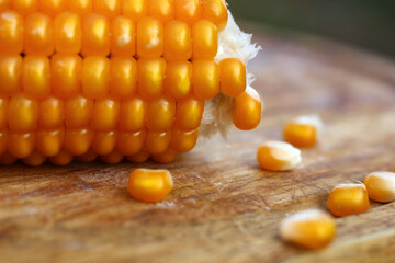 textured corn kernels on the cob close-up
