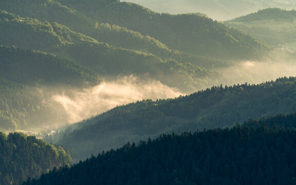 Dolina Potoku Czercz w porannych mgłach, Piwniczna Zdrój, lato, widok z Eliaszówki w Beskidzie Sądeckim