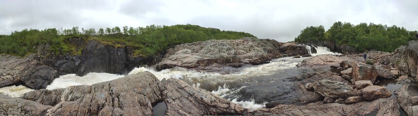landscape with trees