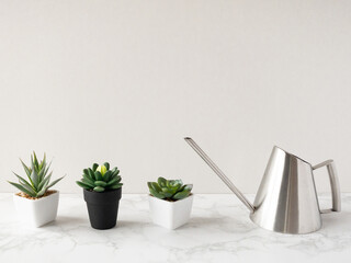  じょうろと多肉植物  © Mami