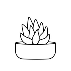Cactus and succulent line style cartoon vector illustration. Decorative flower plant in pot. Isolated icon cacti