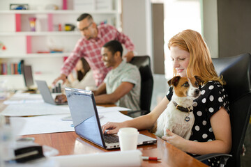 Dog sitting on woman lap in office