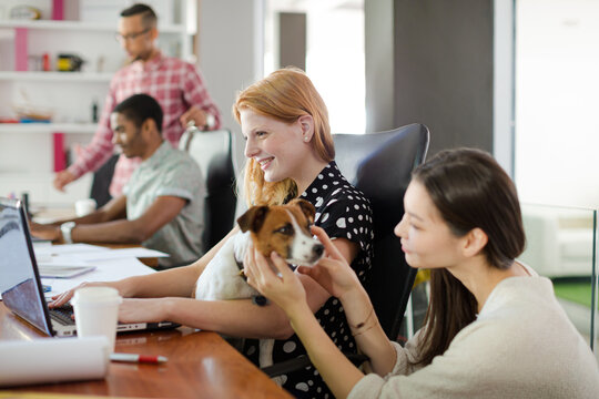 Woman petting dog in office - Powered by Adobe