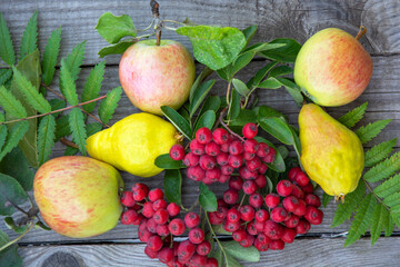 Still life with apples, pears and red rowan. Vegetables, berries and flowers on a wooden background.