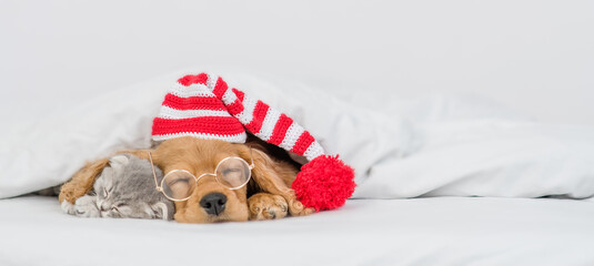 Fototapeta na wymiar English Cocker spaniel puppy wearing eyeglasses and warm hat sleeps with cute kitten under white warm blanket on a bed at home. Empty space for text