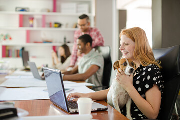 Dog sitting on woman lap in office