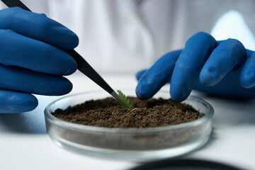 laboratory research plants microbiology science