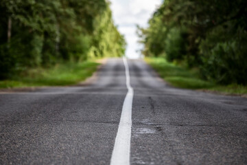 road in the forest