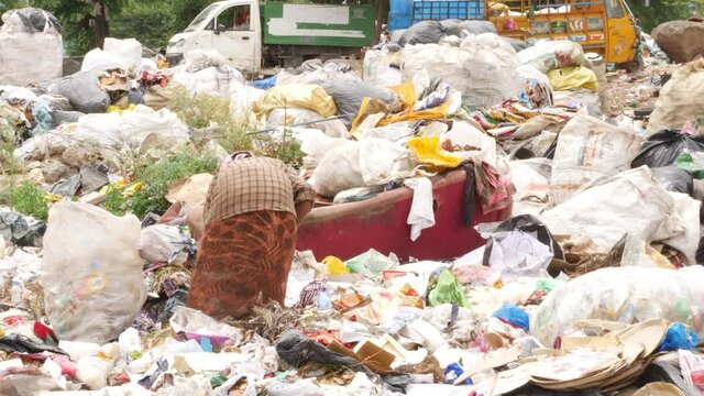 View Of Woman Rag Picker Collecting Recyclable Products